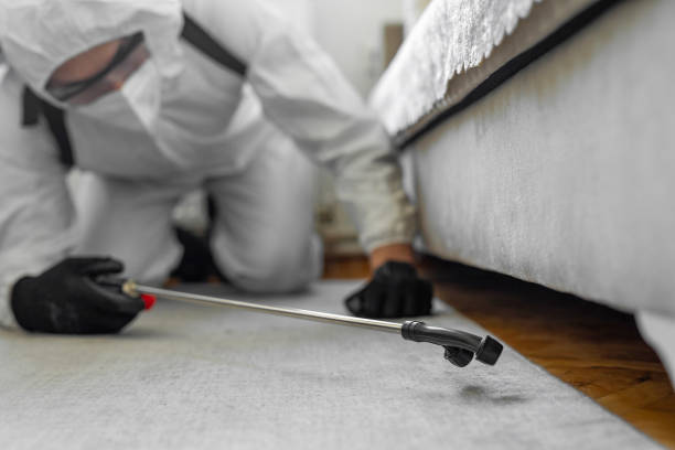 Professional Cockroach Control technician working in Marlborough, MO